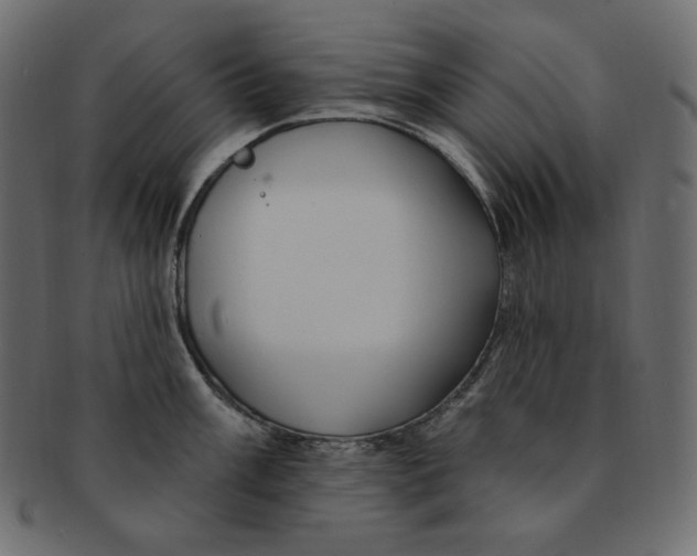 X0000091371003200709071322