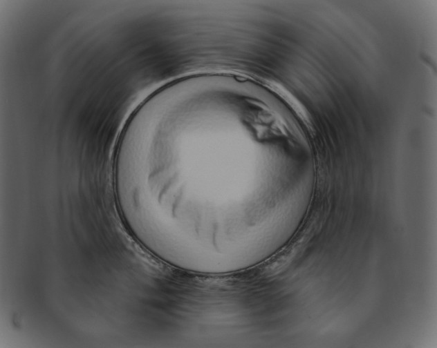 X0000091371004200709071322