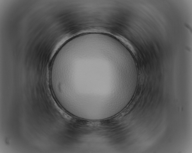 X0000091371006200709071322