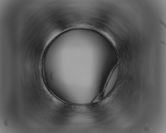 X0000091371007200709071322