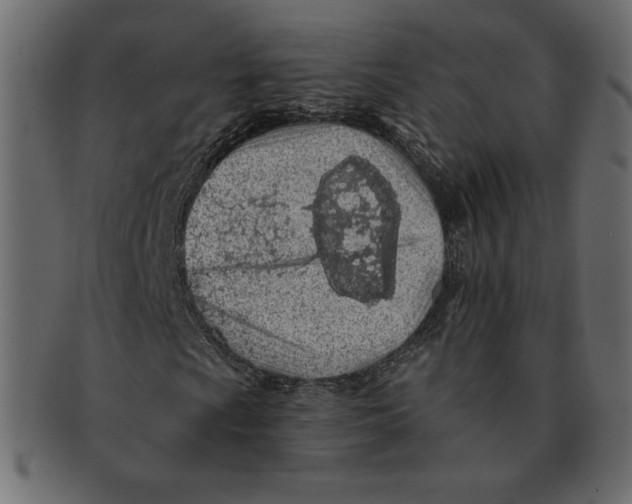 X0000091371009200709071321