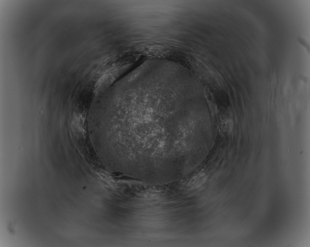 X0000091371010200709071321