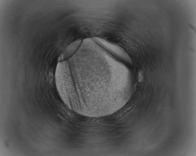 X0000091371011200709071321