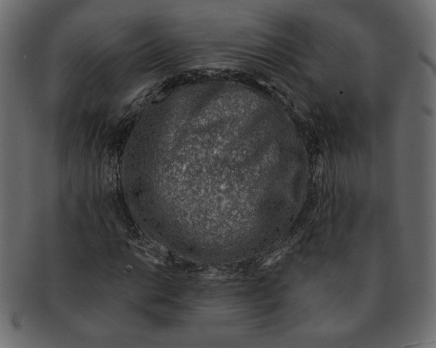 X0000091371014200709071321