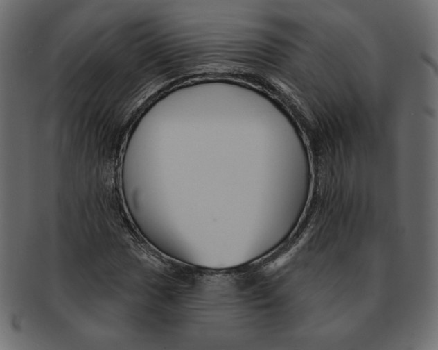 X0000091371017200709071321