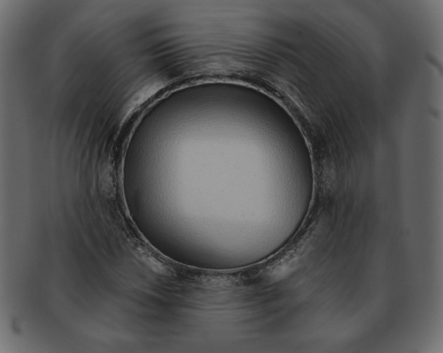 X0000091371018200709071321