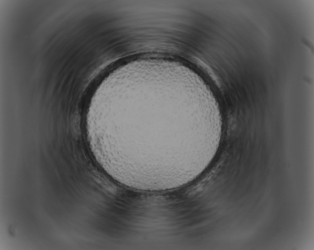 X0000091371019200709071321