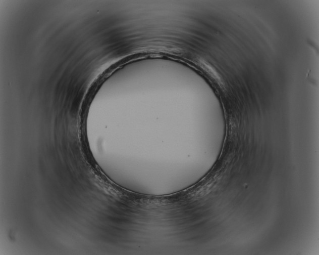 X0000091371020200709071321