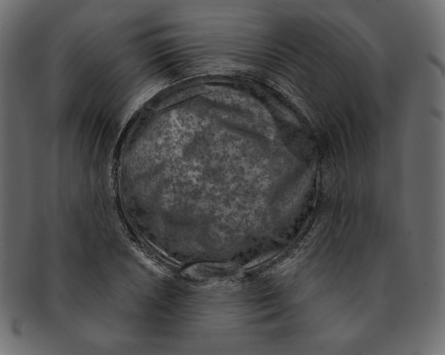 X0000091371026200709071321