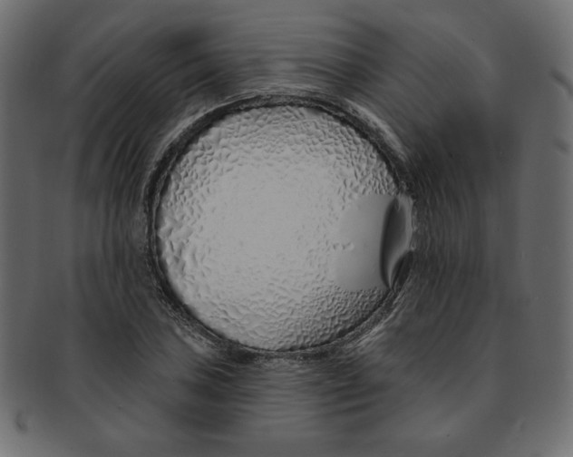 X0000091371027200709071321