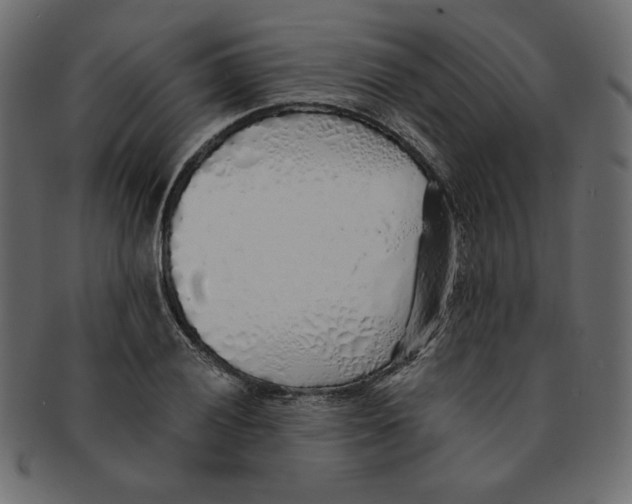 X0000091371028200709071321