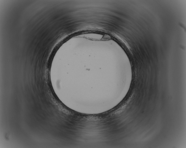 X0000091371029200709071321