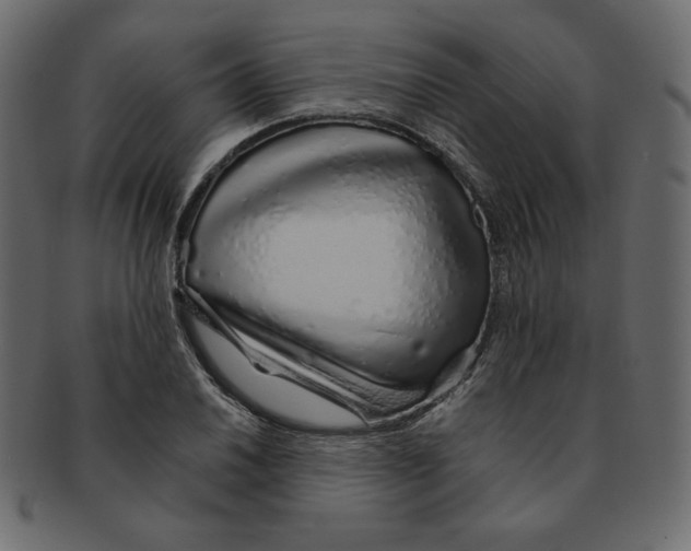 X0000091371030200709071321