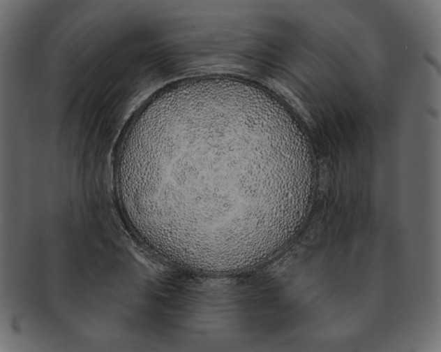 X0000091371031200709071321