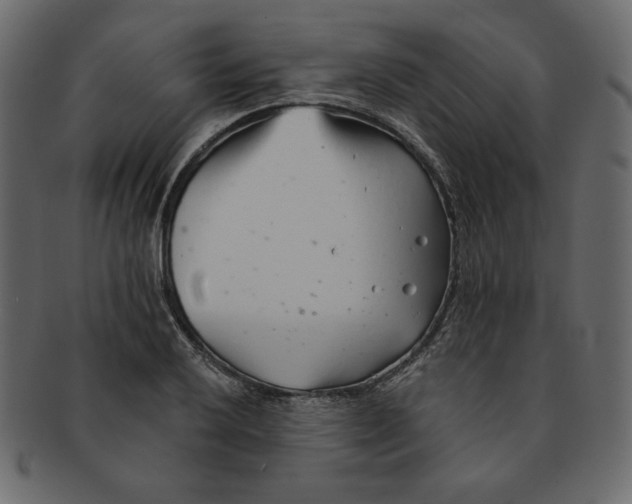 X0000091371032200709071321