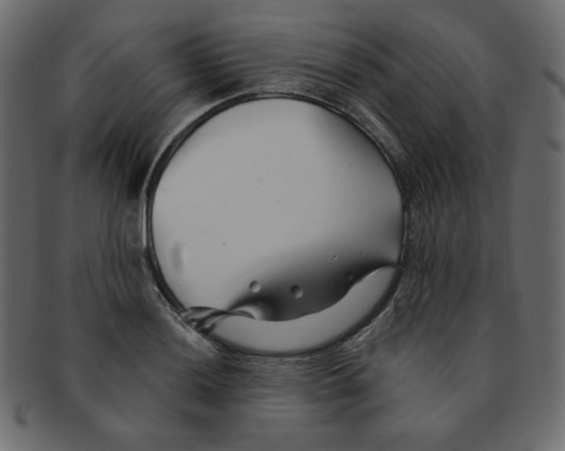 X0000091371036200709071321