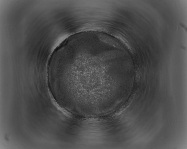 X0000091371038200709071321