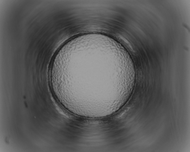 X0000091371039200709071321