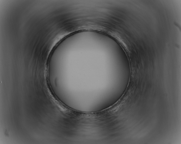 X0000091371040200709071321