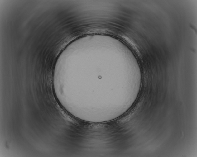 X0000091371041200709071321