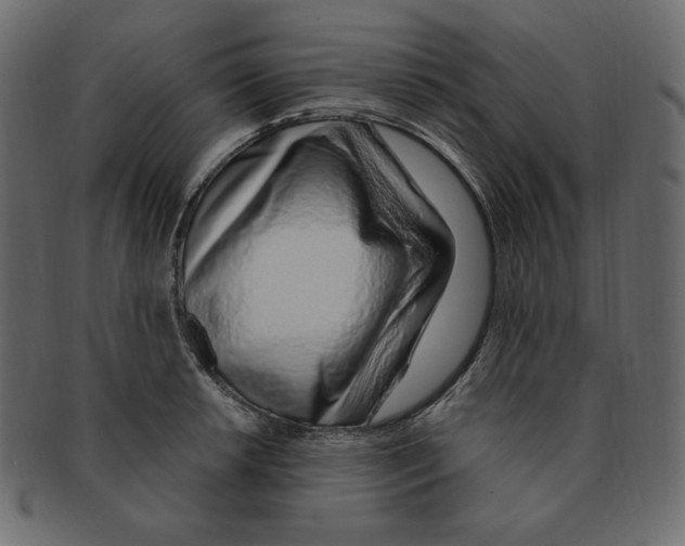 X0000091371042200709071321