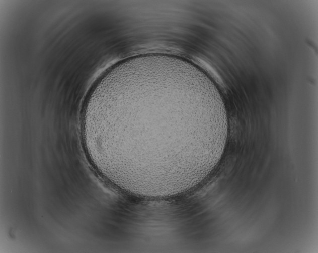 X0000091371043200709071321