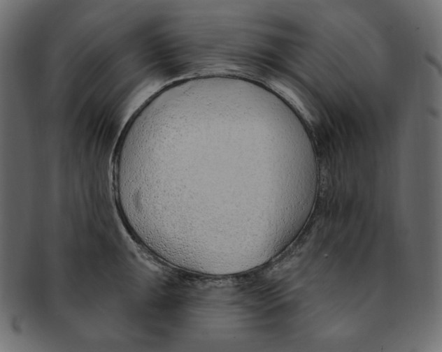 X0000091371047200709071321