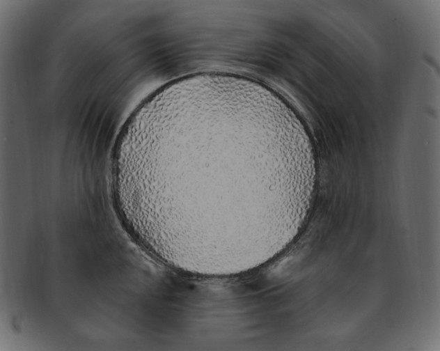 X0000091371048200709071321