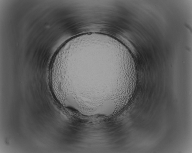 X0000091371051200709071322