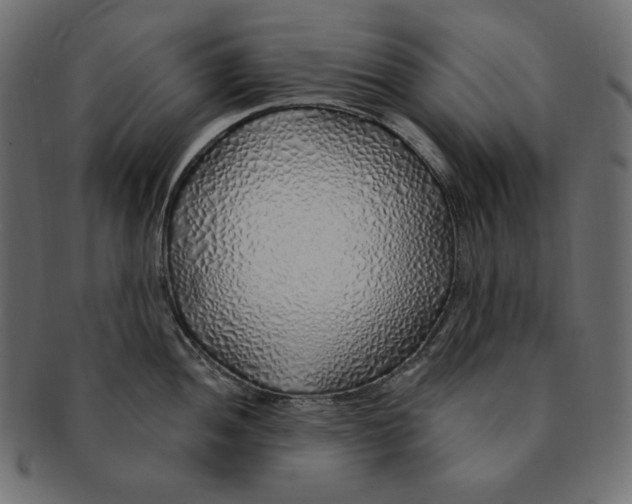 X0000091371052200709071322