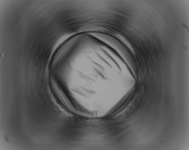 X0000091371053200709071322