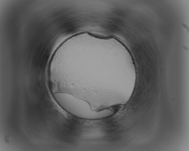 X0000091371056200709071322