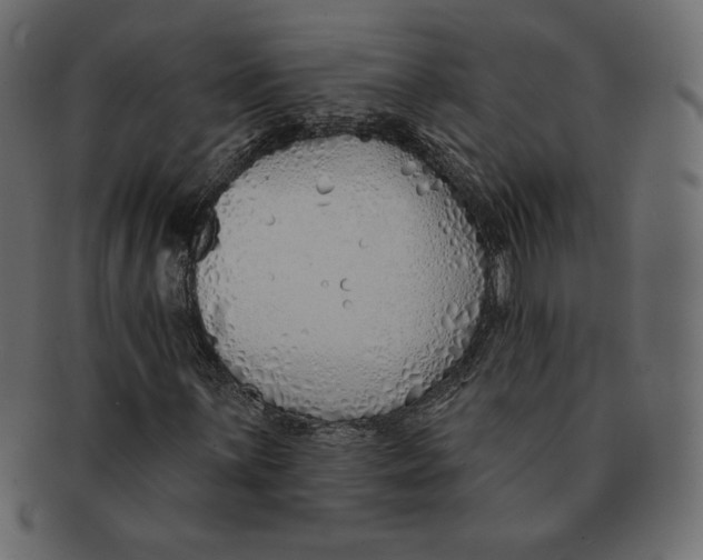 X0000091371059200709071321