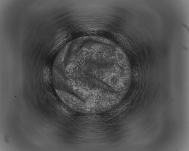 X0000091371060200709071321