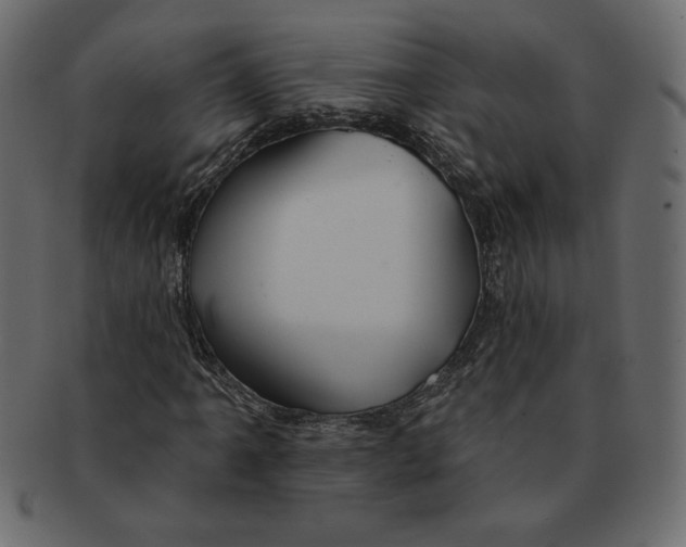 X0000091371061200709071321