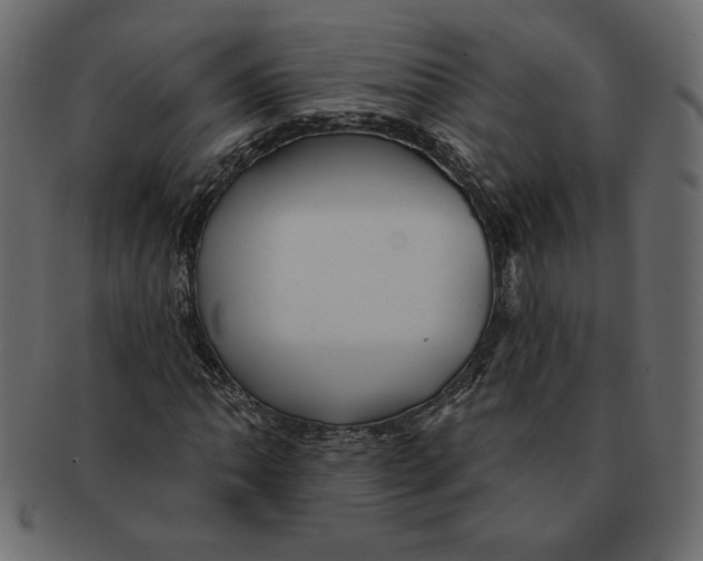 X0000091371062200709071321