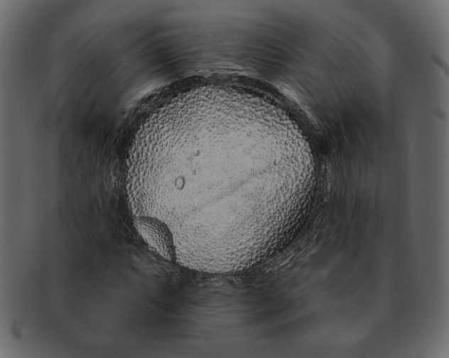 X0000091371063200709071321