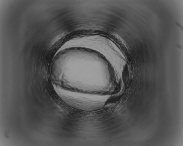 X0000091371064200709071321