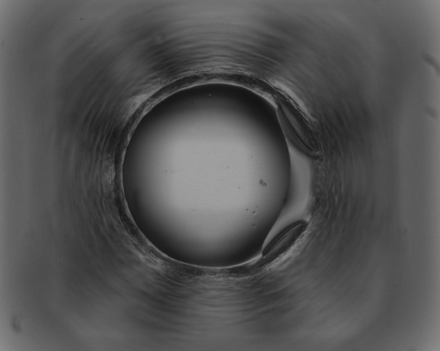 X0000091371065200709071321