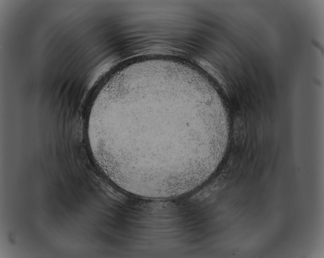 X0000091371067200709071321