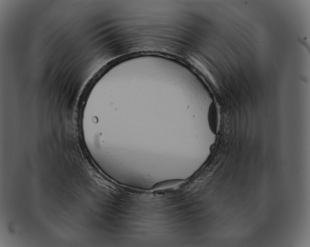 X0000091371068200709071321