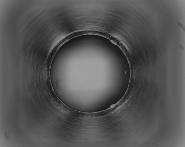 X0000091371069200709071321