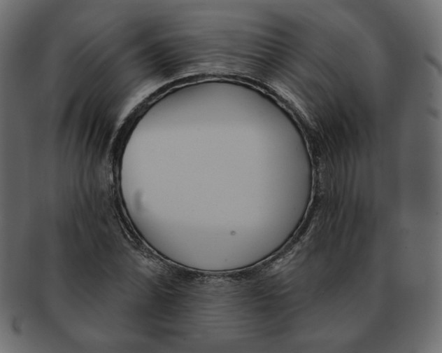 X0000091371070200709071321