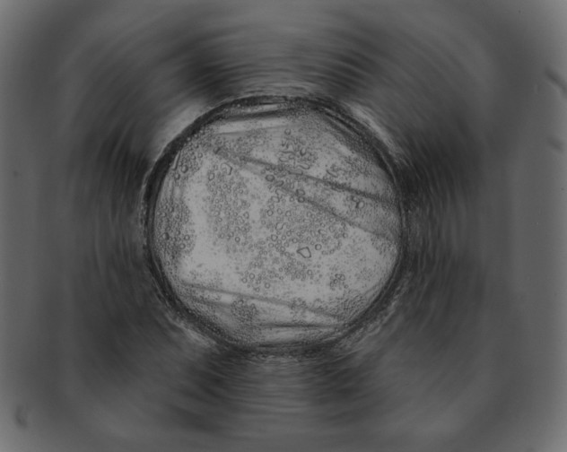 X0000091371071200709071321