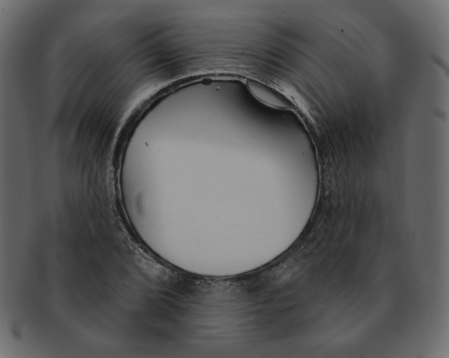 X0000091371072200709071321