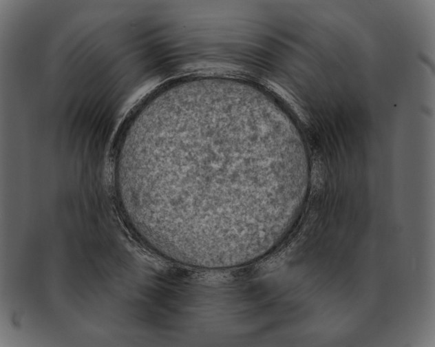 X0000091371074200709071321