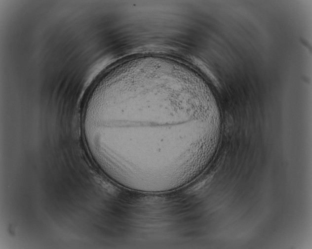 X0000091371075200709071321