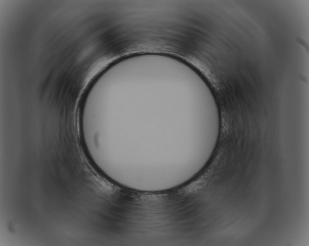 X0000091371078200709071320