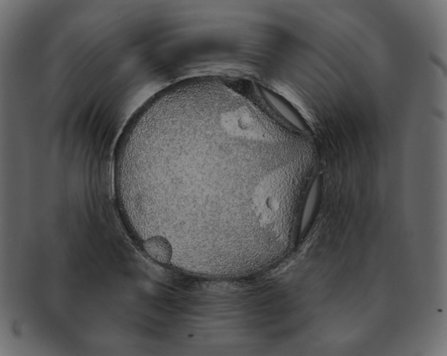 X0000091371079200709071320