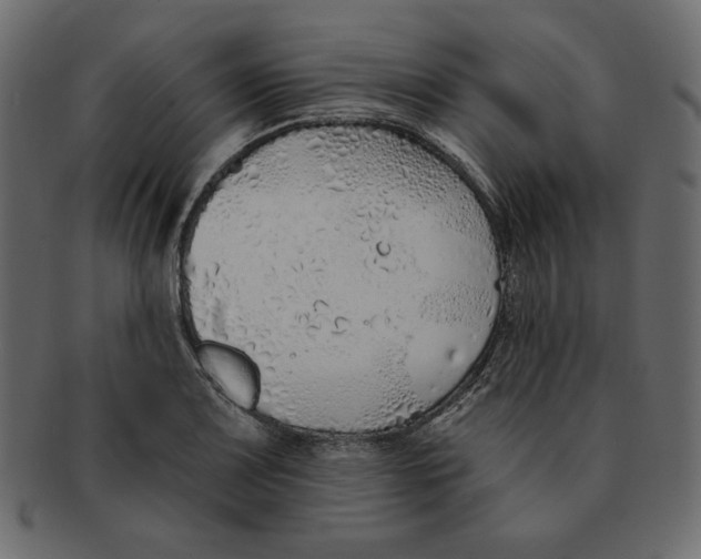 X0000091371083200709071320